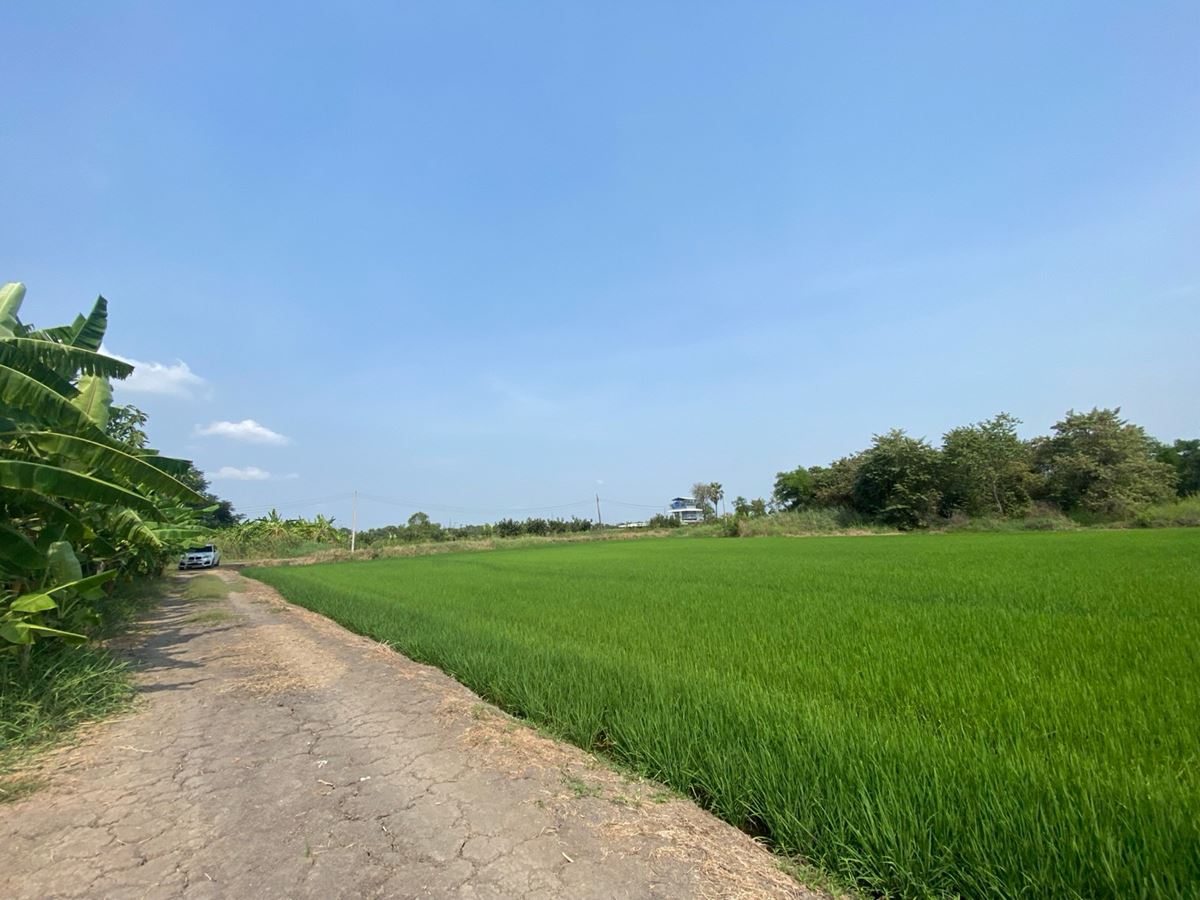 ขายที่ดินเปล่า เนื้อที่ 2 ไร่ ซอยฉลองกรุง54 ลาดกระบัง กรุงเทพ ติดถนน ฉลองกรุง โทร 084-732-2086
