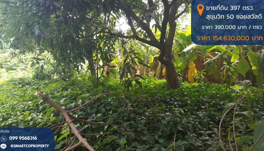 ขายที่ดิน 397 ตรว. ถมแล้ว สุขุมวิท 50 ซอยสวัสดี พระโขนง กรุงเทพ พื้นที่สีส้ม บรรยากาศดี เหมาะสร้างบ้านหรู ซื้อลงทุน โทร 0999568316