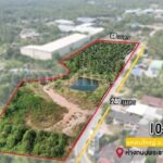 P3 ที่ดิน 10-2-19 ไร่ แหลมใหญ่ สมุทรสงคราม ใกล้ถนนพระราม 2