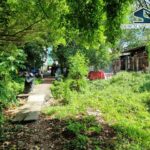 ขายที่ดินถนนสุขุมวิท ย่านปรีดีพนมยงค์ 348 ตร.ว.คลองตันเหนือ วัฒนา