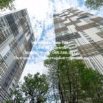 ให้เช่าคอนโดหรูระดับไฮเอนด์ พาร์ค ออริจิ้น พร้อมพงษ์ (สุขุมวิท 24