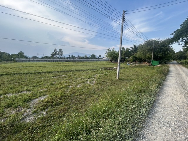 ที่ดินสวย บ้านแหวน หางดง เชียงใหม่