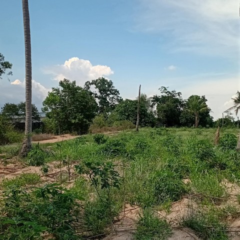 ขายที่ดินนิคมพัฒนาระยอง 6 ไร่