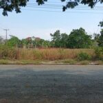 ขายที่ 188 ตรว. ใกล้ทะเลสาบ ในหมู่บ้านวิจิตราธานี