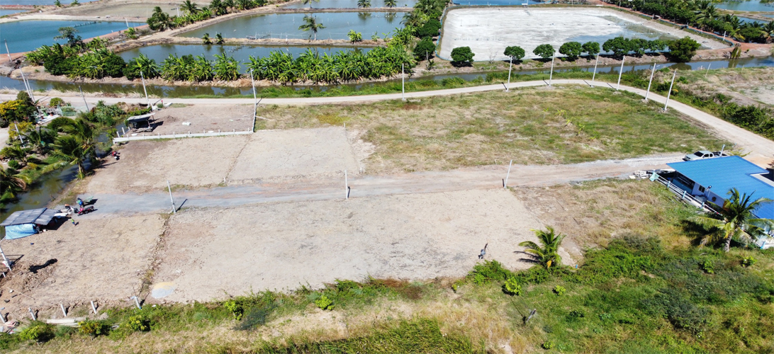 ขาย ที่ดิน หัวไทร-บางคล้า เหมาะสร้างบ้าน ใกล้วัดลาดบัวขาว ที่ดินปรับถมเรียบร้อยฉะเชิงเทรา