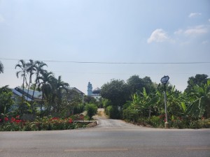 ขาย ที่ดิน ที่ดินหนองจอกเหมาะทำPoolVilla ขายที่ดินทำเลธุรกิจหลังตลาดหนองจอก ขายที่ดินหนองจอกเหมาะทำร้านอาหาร ขายที่ดินหนองจอกเหมาะทำโรงแรมรีสอร์ท ขายที่ดินหนองจอกเหมาะทำบ้านพักตากอากาศ