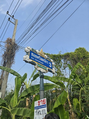 บ้านเดี่ยว ขาย Luxury-detached-house-for-sale, rightintheheartofSukhumvit บ้านเดี่ยวหรู2ชั้นพร้อมสระว่ายน้ำสุขุมวิท Luxury-detached-house-for-sale, in-Sukhumvit71,SoiPridiBanomyong26