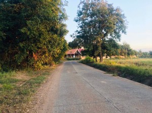 ที่ดิน ขาย ใกล้ทางหลวงหมายเลข24 เข้าออกหมู่บ้านได้2เส้นทาง ใกล้ถนนโชคชัย-เดชอุดม ที่นา-ที่ดินราคาถูกนครราชสีมา น้ำประปาไฟฟ้าผ่านหน้าที่นา