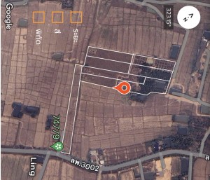 ขาย ที่ดิน ติดถนนบ้านบูชา-ป่าสัก ขายที่ดินอำเภอเมืองลำพูนราคาถูก ใกล้แหล่งชุมชน-ตลาด-ห้าง-โรงพยาบาล ตำบลป่าสัก เจ้าของขายเอง