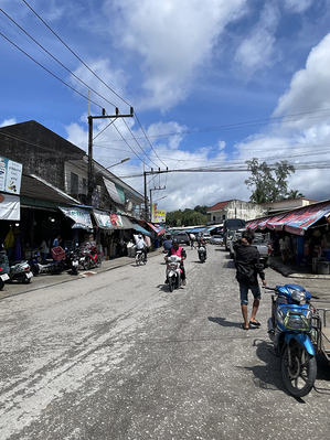 ขาย ที่ดิน รีสอร์ตขนาดเล็ก ใกล้แหล่งท่องเที่ยว เหมาะทำบ้านพักรายเดือน,หอพัก ที่ดินใจกลางเมือง ที่ดินติดถนนใหญ่เมืองระนอง