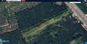 ที่ดิน ขาย อสังหาพัทลุงราคาคุ้มสุด ที่ดินพัทลุงราคาถูก พร้อมไฟฟ้าน้ำประปา ที่ดินป่าบอนถูกกว่าใกล้เคียง ติดถนนเพชรเกษม