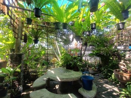 ขาย บ้าน เลียบด่วน เกษตรนวมินทร์–เอกมัย–รามอินทรา สะดวกเดินทางหลายทาง ใกล้โรงพยาบาลเปาโลโชคชัย4 บ้านมือสองลาดพร้าวโชคชัย4