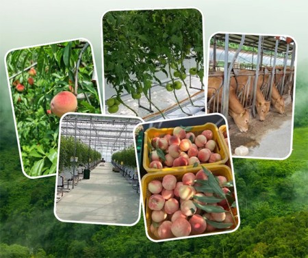 บริการ ประกาศ รับจัดหางาน งานประเทศอิสราเอล ไม่หลอกลวงทำงานต่างประเทศถูกกฎหมาย งานสวนประเทศออสเตรเลีย งานประเทศเกาหลีใต้